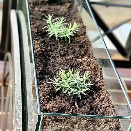 Apartament Olimian Oasis Village Lipa 107 Podčetrtek