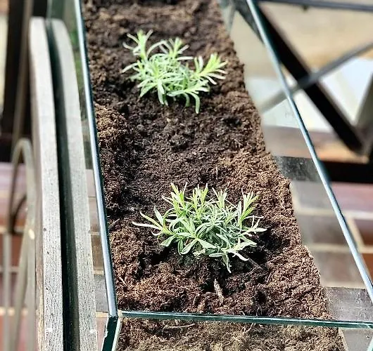 Διαμέρισμα Olimian Oasis Village Lipa 107 Podčetrtek